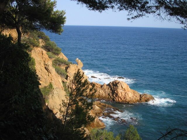 La côte rocheuse sous les pins