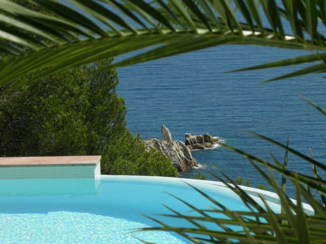 La piscine à débordement entre les palmes